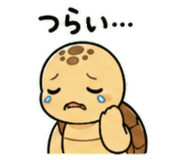 843030531
