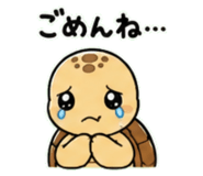 843030534