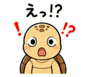 843030537