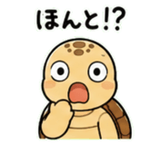 843030538