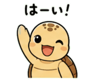 843030549