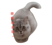 84303055