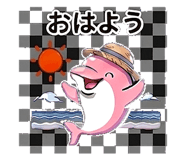 843030553