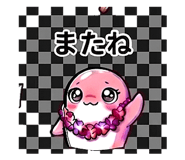 843030566