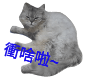 84303063