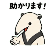 843030690