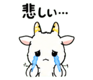 843030793