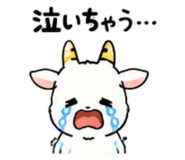 843030800