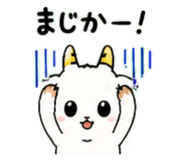 843030805