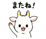843030815