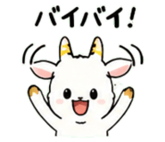 843030816