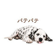 843030836