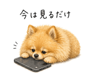 843030862