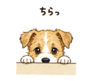 843031129