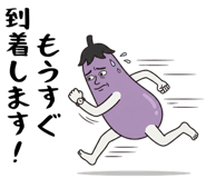 843031291