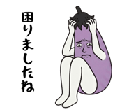 843031303