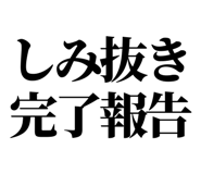 843031381