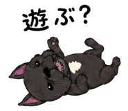 843031551