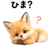 843031586