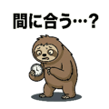 843031687