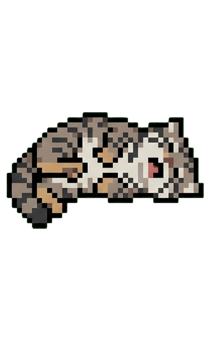 843031982