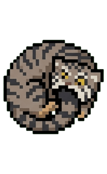 843031999