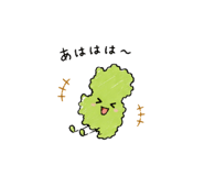 843032136