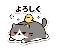 843032275