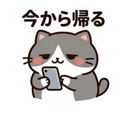 843032284