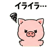 843032421