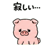 843032426