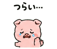 843032427
