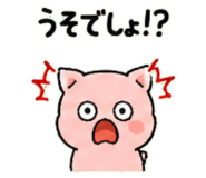 843032435