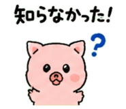 843032438