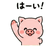 843032445