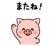 843032447