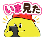 843032962