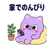 843033505