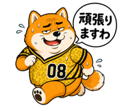 843033926
