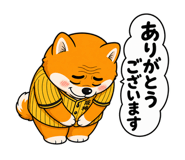 843033930
