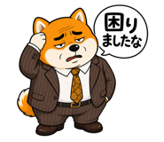 843033937