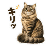 843034045