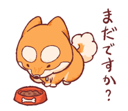 843034170