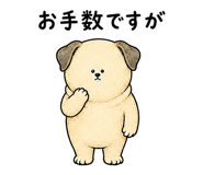 843034762