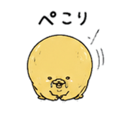843034875