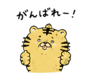 843034884