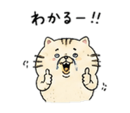 843034888