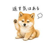 843035347