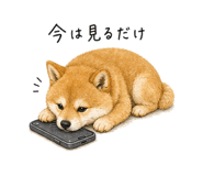 843035350