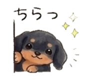 843035885
